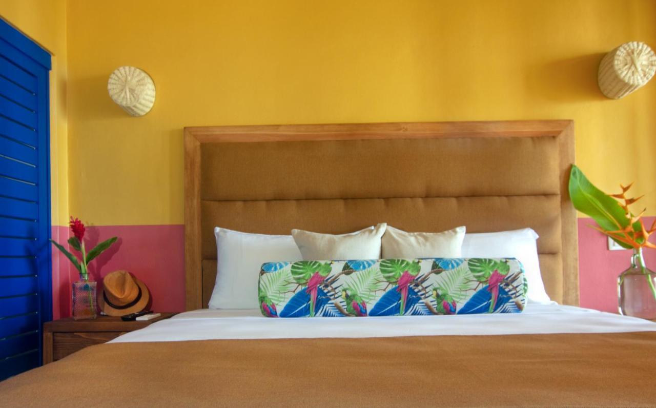 Hotel Albatros By Bedsfriends Cozumel